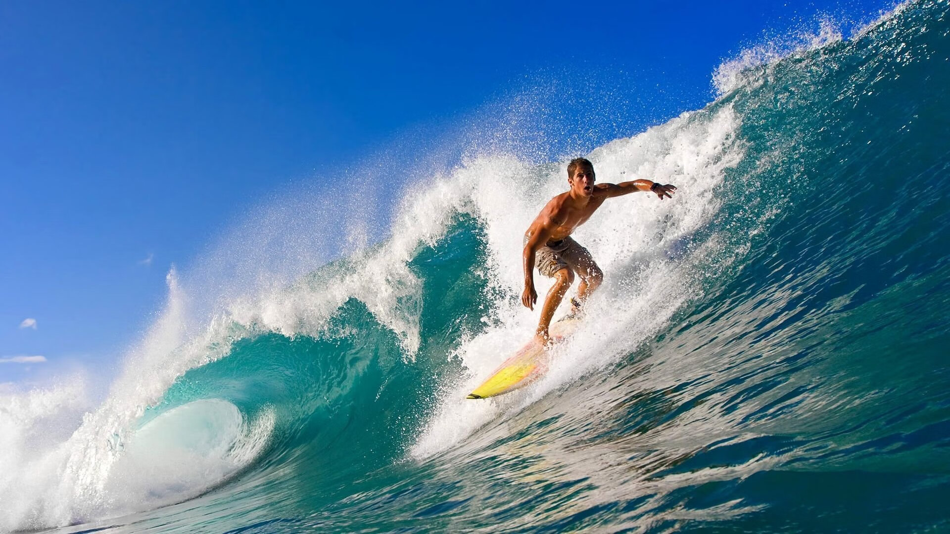 当罗马踏平蓝黑军团，加克波在美加墨世界杯的加冕时刻