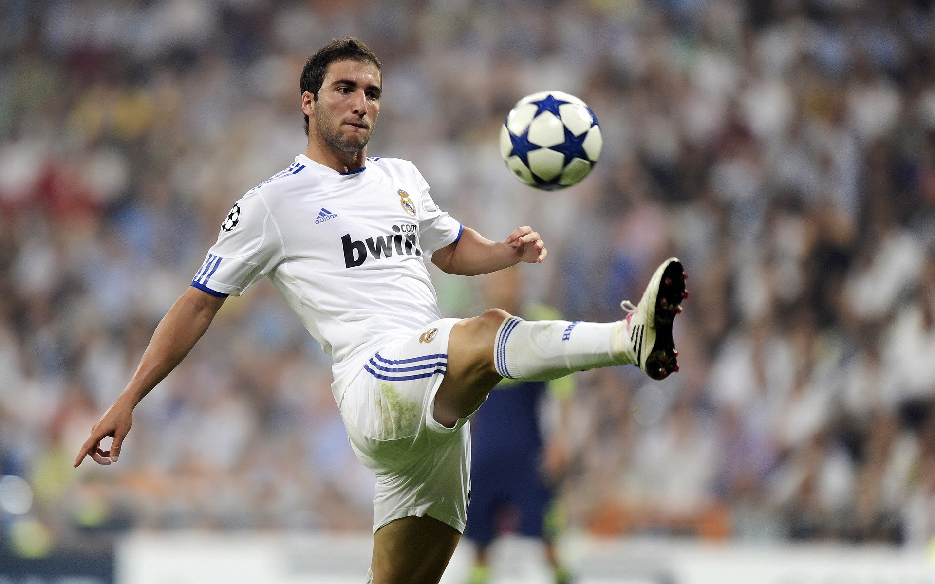 温网轻取拉沃尔杯，鲁德状态火热，红土王子在草地上的华丽转身